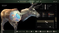 11. Way of the Hunter - Hunting Season One PL (PS5)